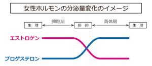 ホルモン分泌